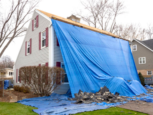 Best Brick Veneer Siding  in Prescott Valley, AZ