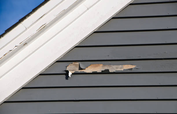 Best Insulated Siding Installation  in Prescott Valley, AZ